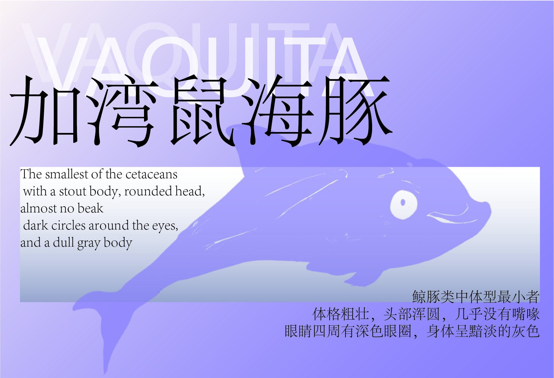 bevictor伟德